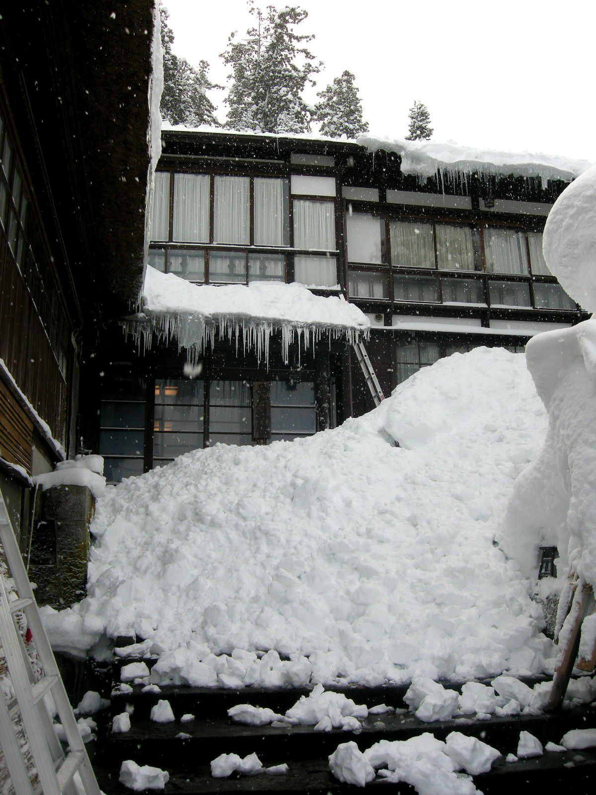 毎日雪ネタ①