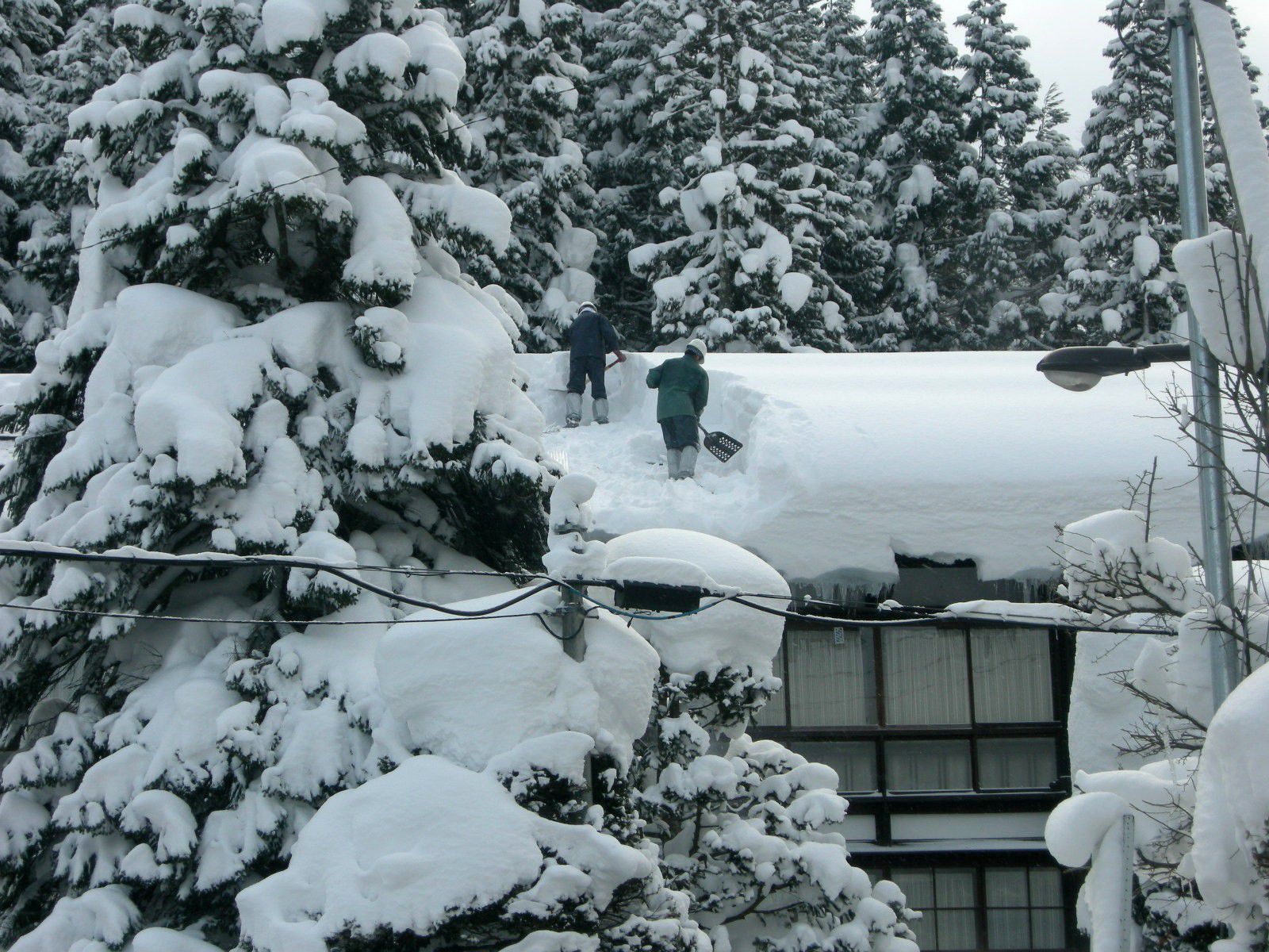 毎日雪ネタ②