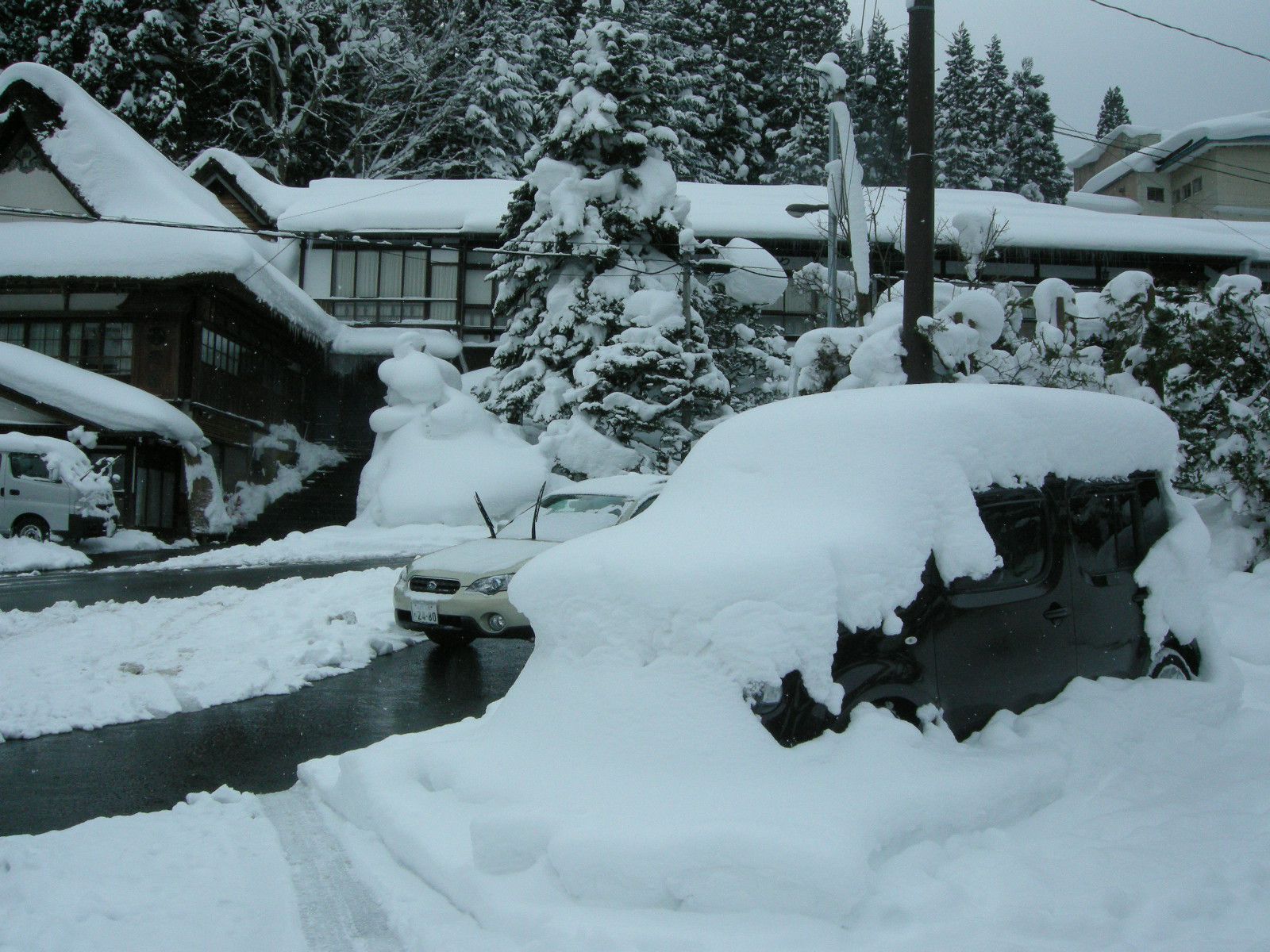 冬です雪です除雪です！