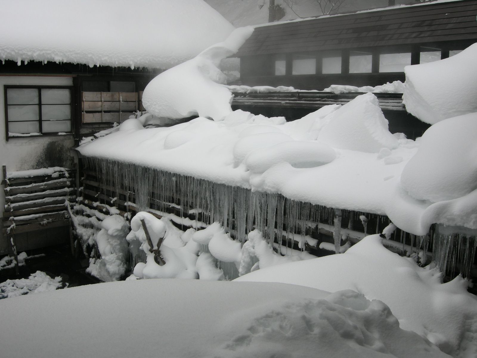 降り積もる雪雪雪また雪よ～♪