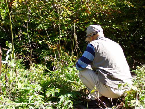 自然に溶け込んで 1
