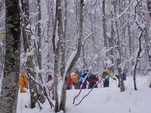 初雪の中