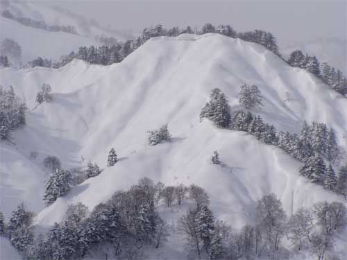 対岸の風光