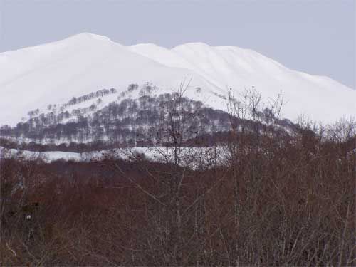 弓張平より湯殿山を