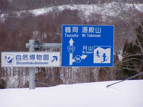 今年は大雪；標識と電線