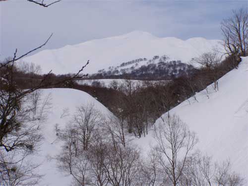 カラマツ林から湯殿山を