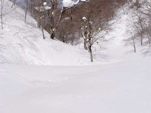 石跳川は雪の下