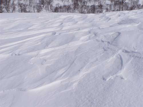 雪紋が