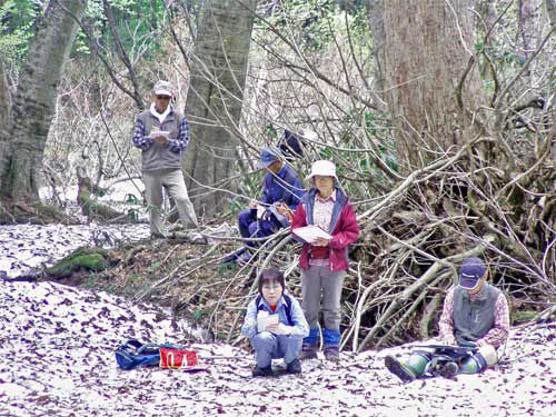 新緑に包まれて