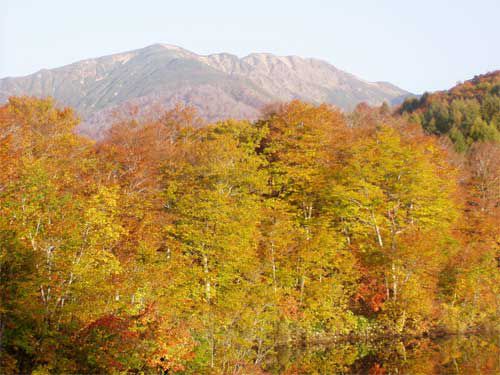 秋色に浮く湯殿山