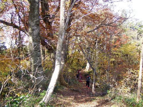 尾根に遊ぶ