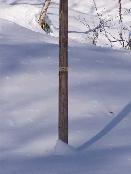 ただいま1ｍの雪