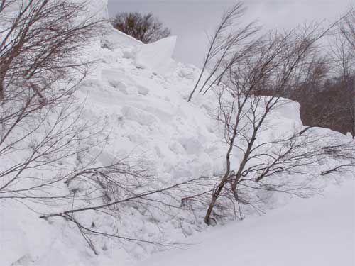 雪の重圧