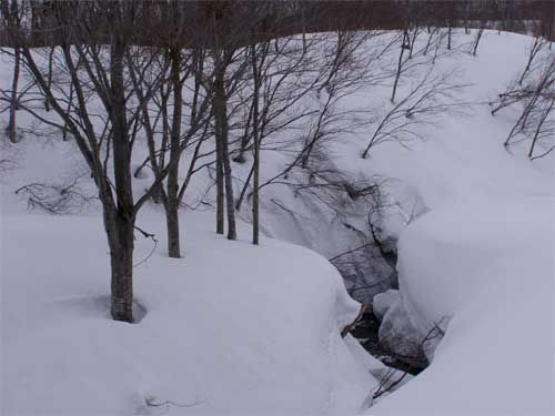 広場の水路開いていました