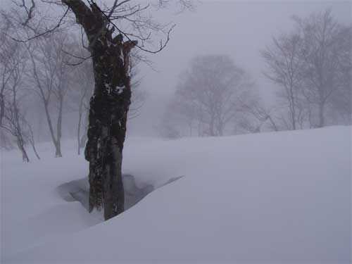 急登を一気に