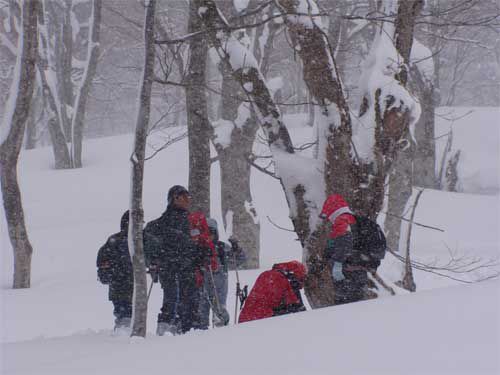 雪降る森で