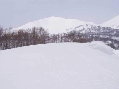 焼山尾根より