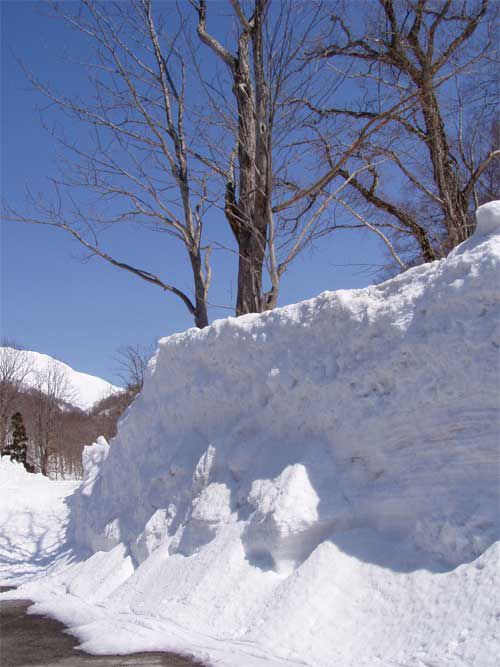 雪の壁