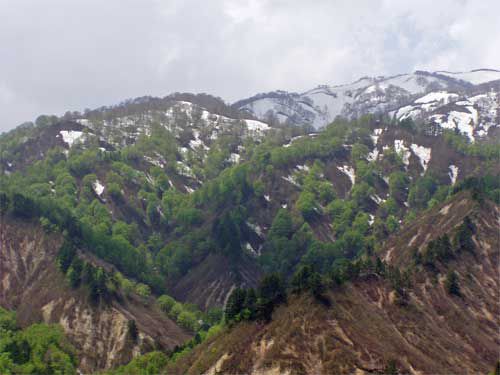 ブナの峰渡り