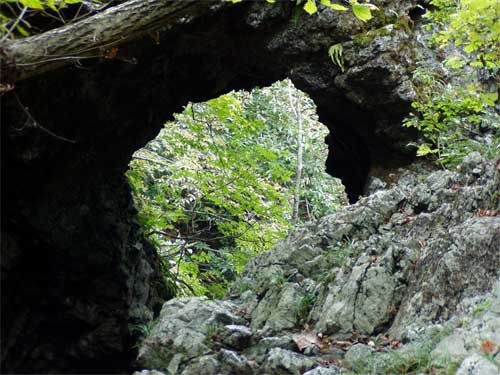 上部から岩穴を