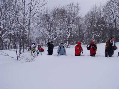 雪止む