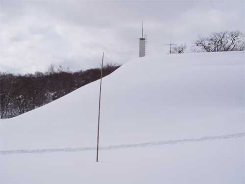 センター屋根まで