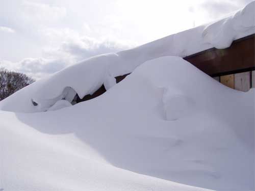 雪と雪