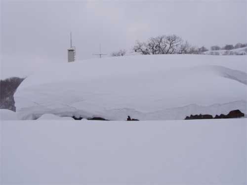 降雪50ｃｍも