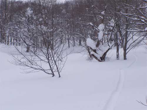 豪雪の証明