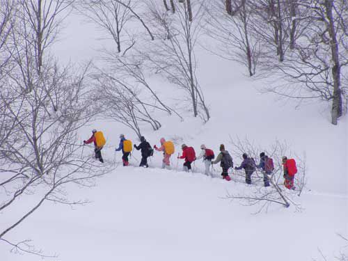 ラッセル組んで