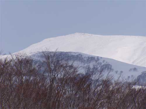 西南より月山を