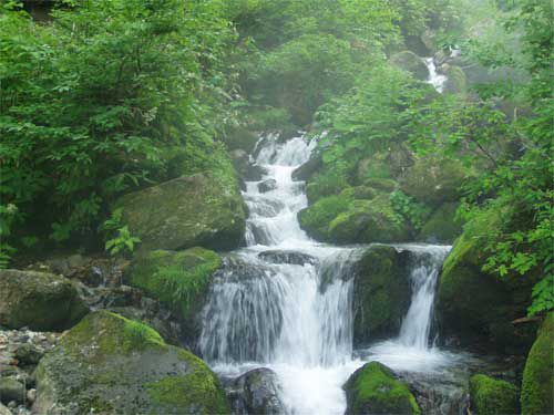 月山山麓の朝