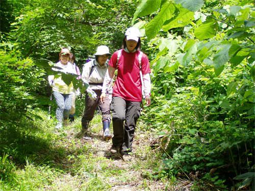 アポローチ歩道