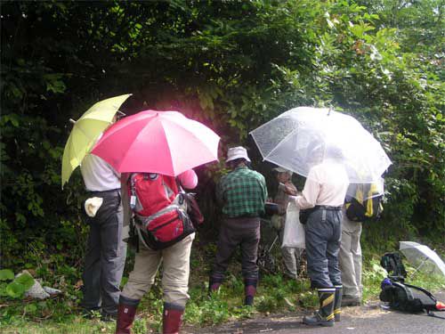 一時の小雨