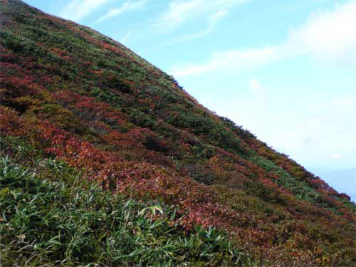 晴れ渡った金姥