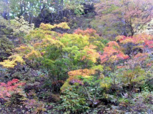 山形大江町柳川~西川の谷