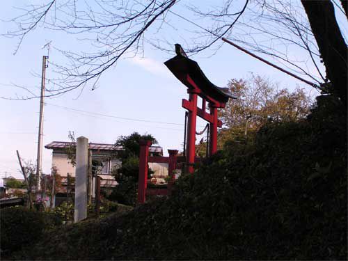 鳥居小春日和に