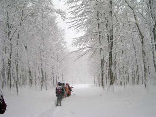 頬に触れる雪