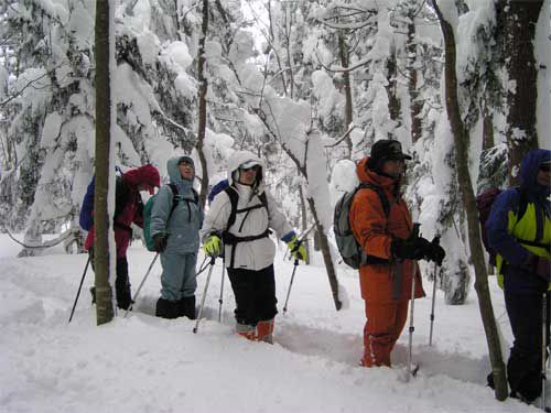 里山化