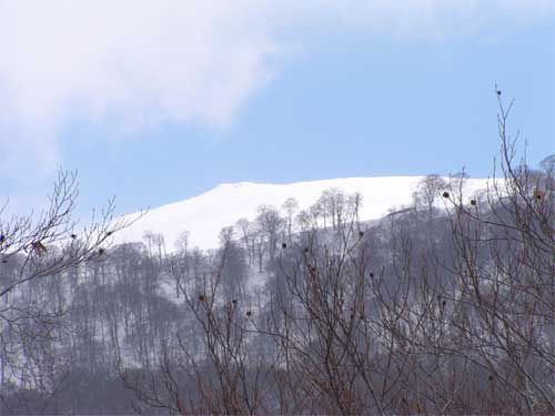 山頂遠望