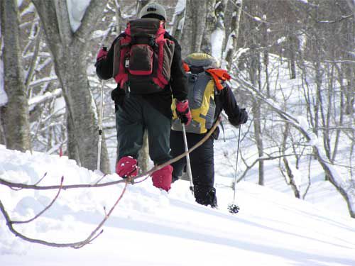 ゴガラミノ森へ