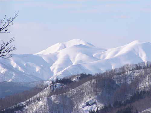 八幡坂より朝日連峰