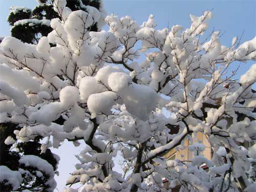名残雪空に
