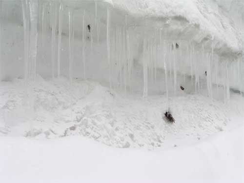 月山道吹雪き3/26