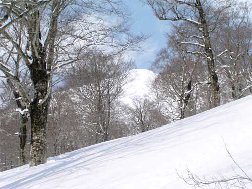 見えてきた湯殿山