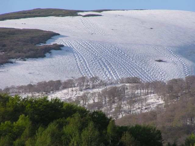 月山スキー場の雪こぶ