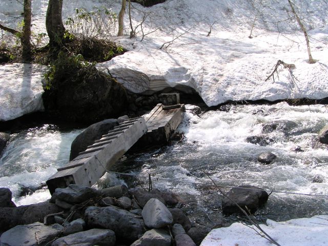 石跳川渡る