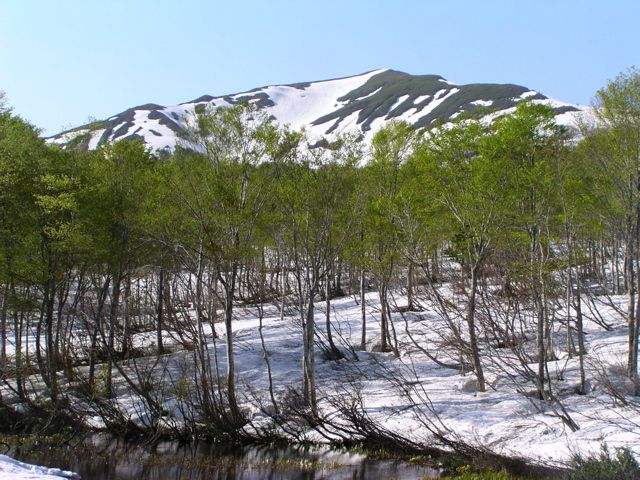 皮松谷地から湯殿山