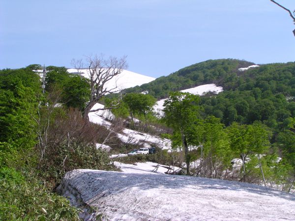 シラネアオイトレッキング