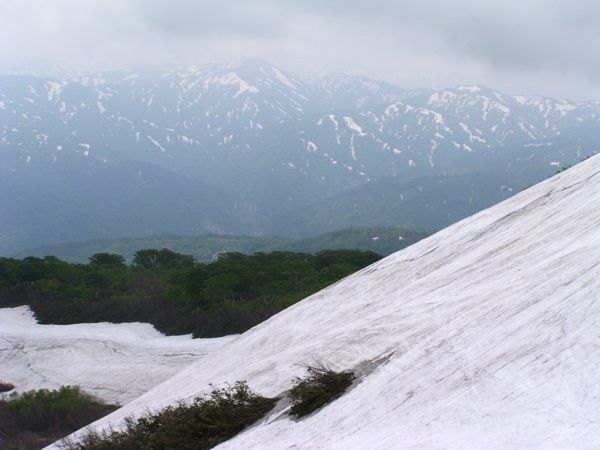 姥ヶ岳斜面